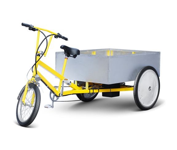 Cargo Delivery Trike